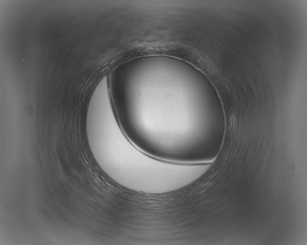 X0000081351300200701111055