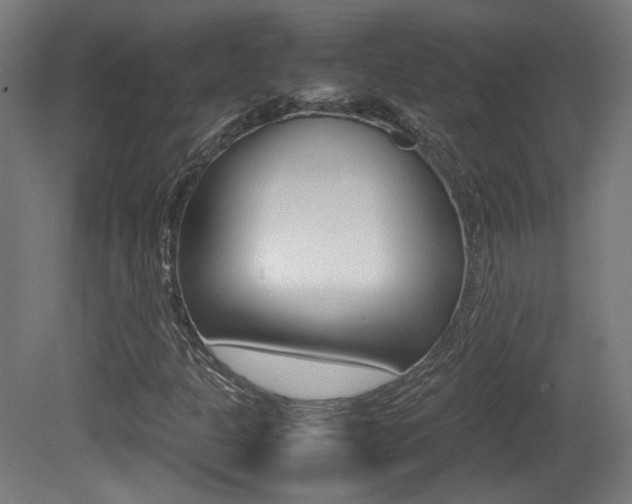 X0000081351301200701111055