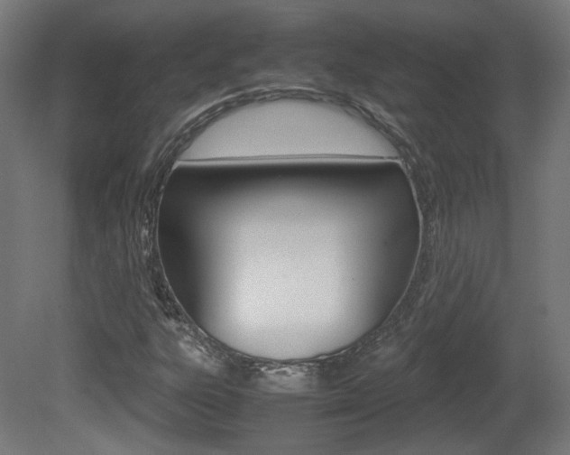 X0000081351303200701111055