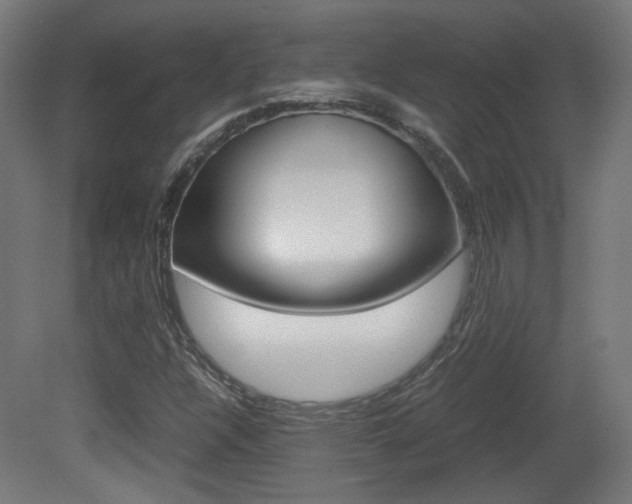 X0000081351304200701111055