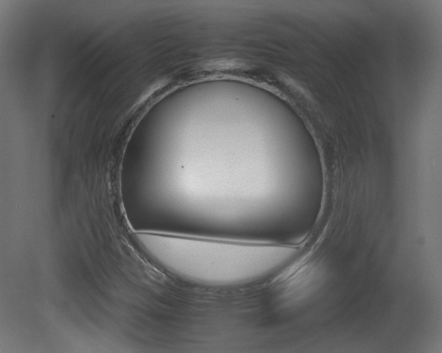 X0000081351305200701111055