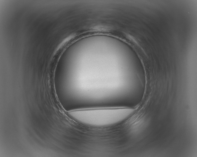 X0000081351307200701111055