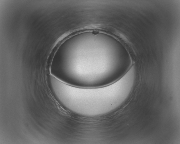 X0000081351308200701111055