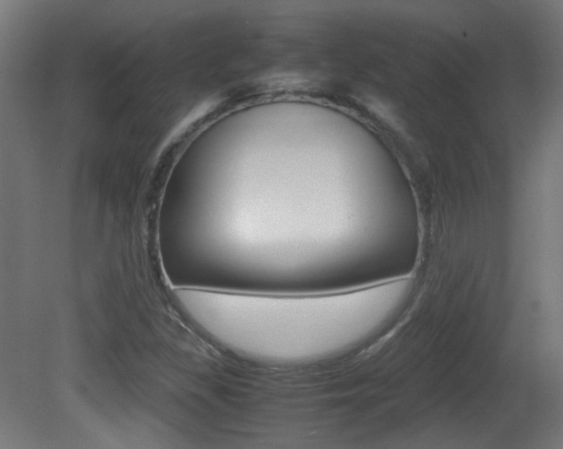 X0000081351309200701111055