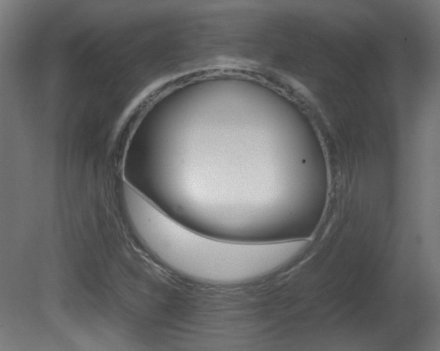 X0000081351310200701111055