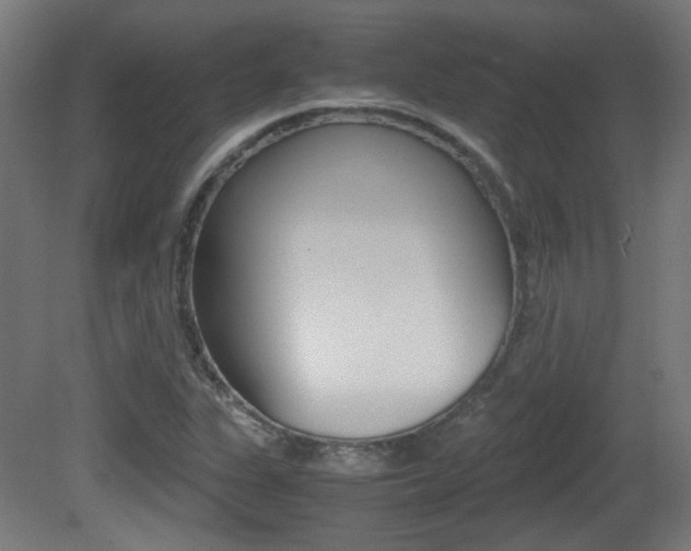 X0000081351311200701111055