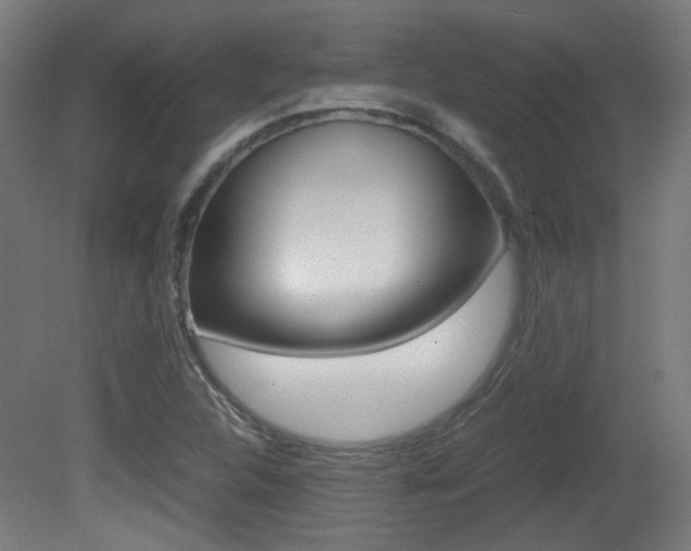 X0000081351312200701111055