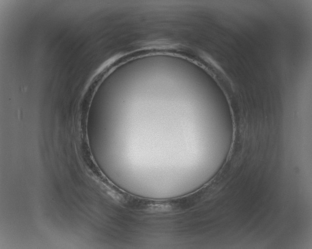 X0000081351315200701111055