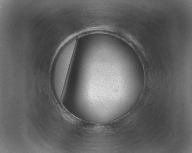 X0000081351316200701111055