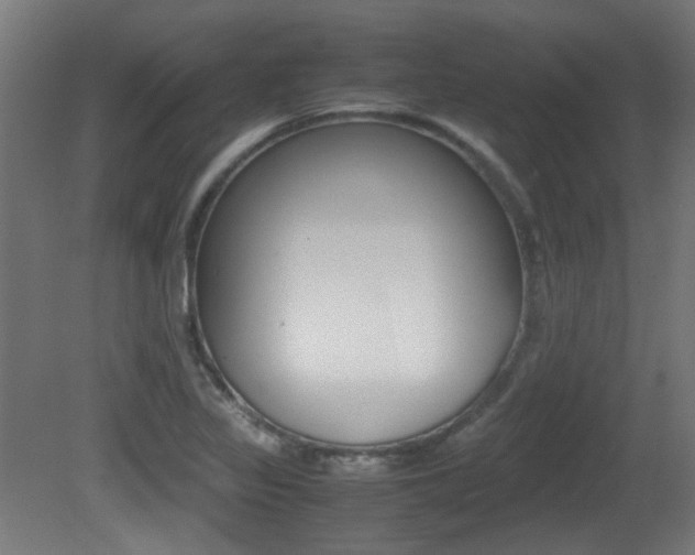 X0000081351317200701111055