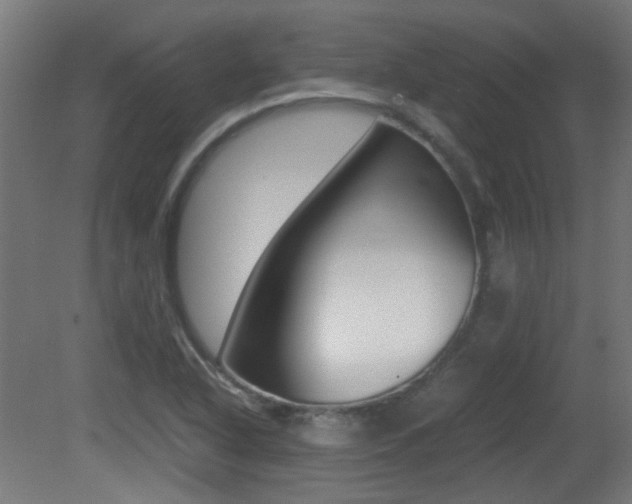 X0000081351318200701111055