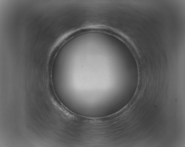 X0000081351319200701111055