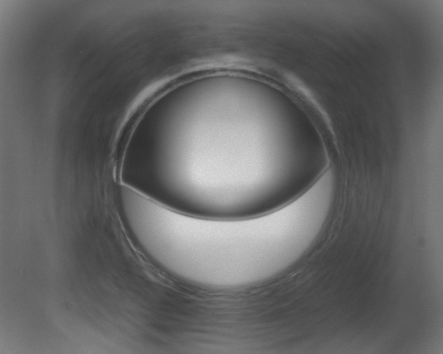 X0000081351320200701111055