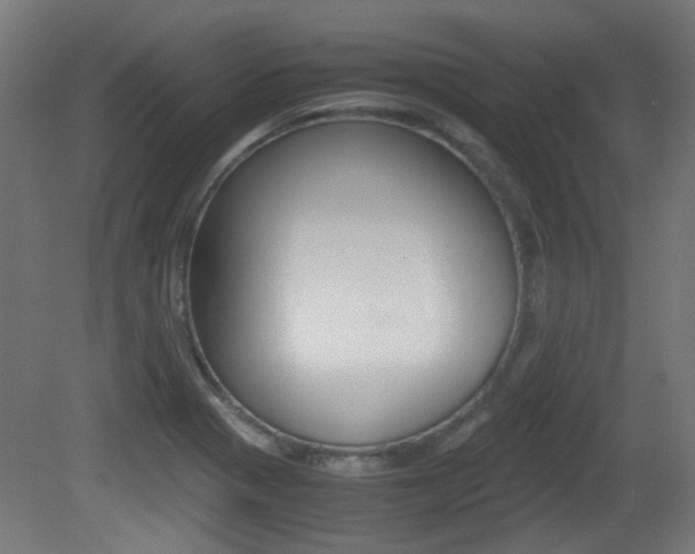 X0000081351321200701111055