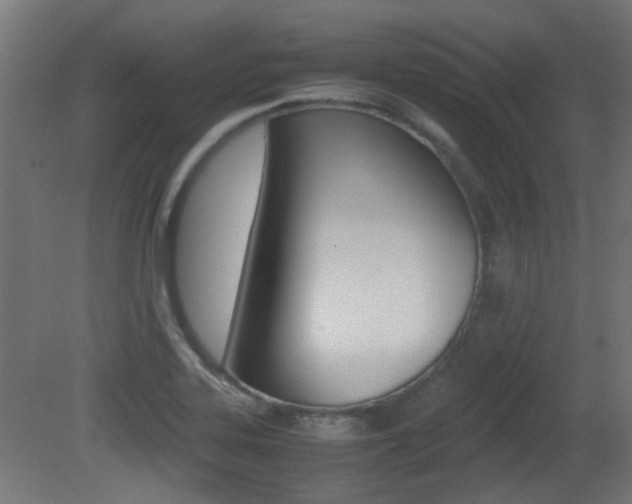 X0000081351323200701111055