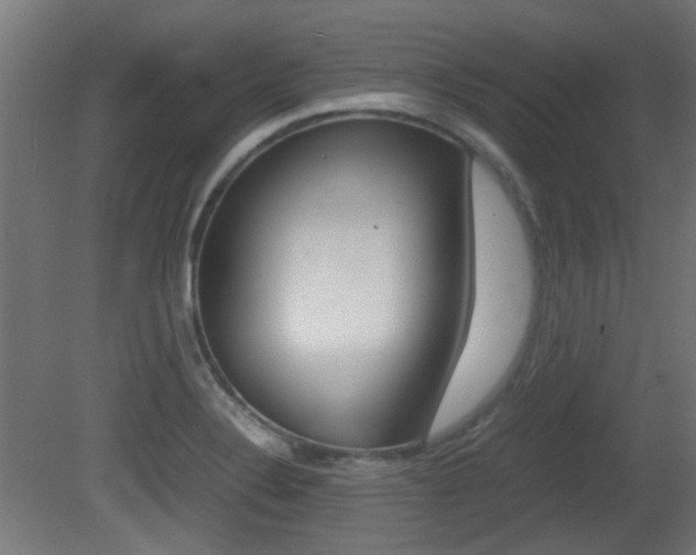 X0000081351324200701111055