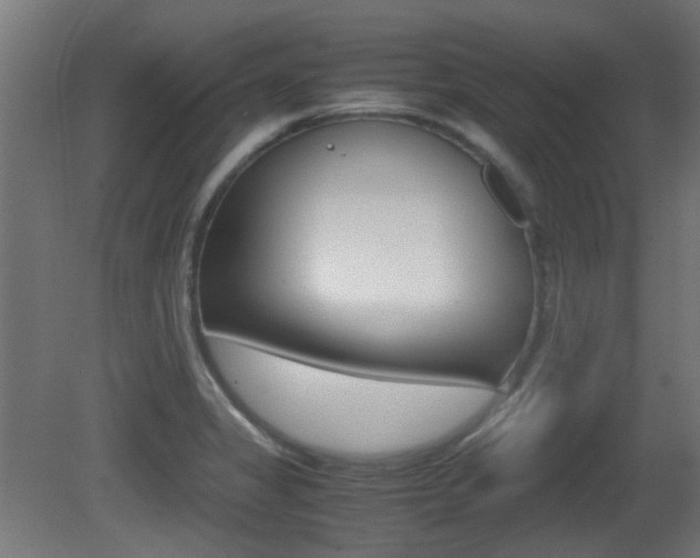 X0000081351325200701111055