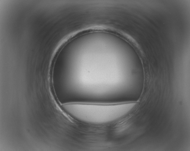 X0000081351327200701111056