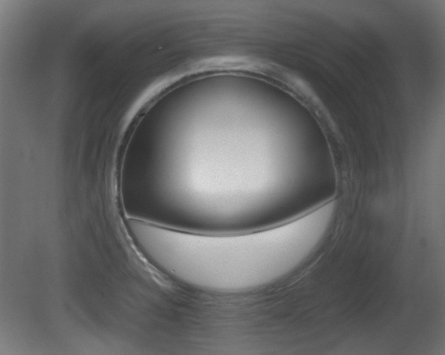 X0000081351328200701111056