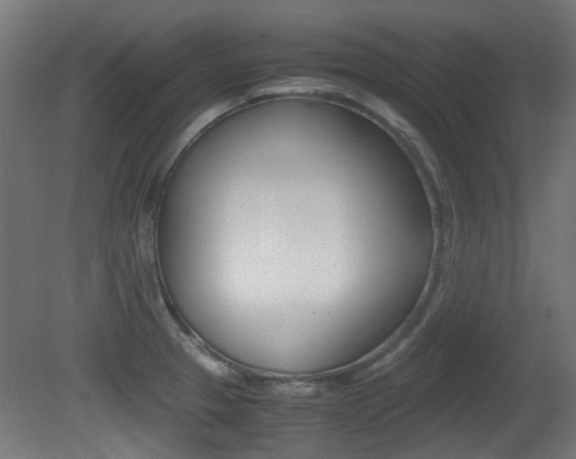 X0000081351329200701111056