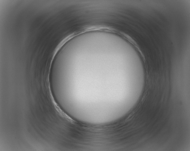 X0000081351330200701111056