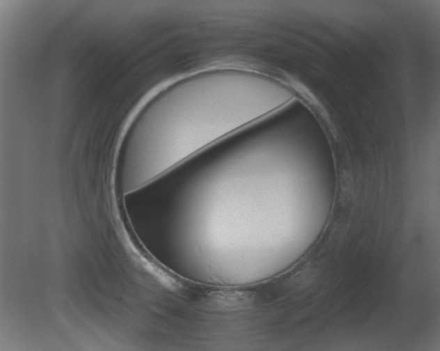 X0000081351331200701111056