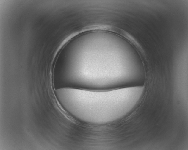 X0000081351332200701111056