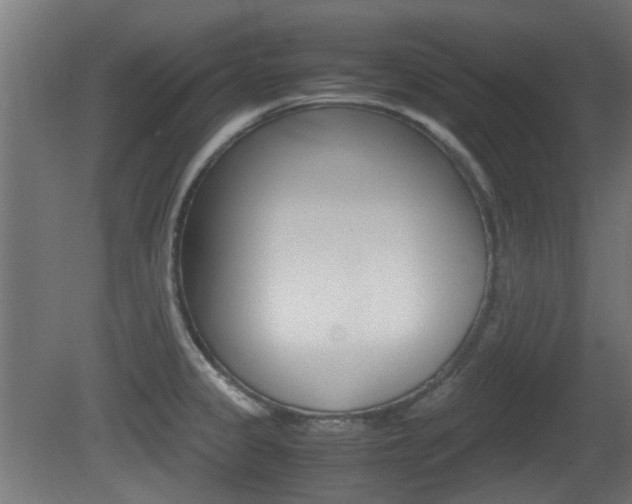X0000081351333200701111056