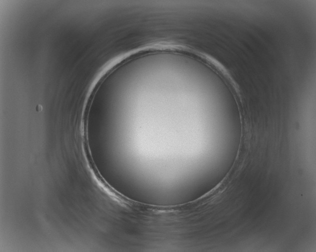 X0000081351335200701111056