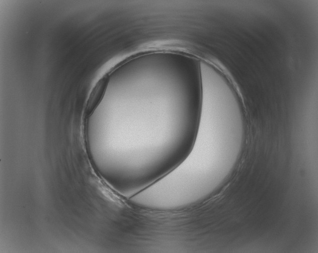 X0000081351336200701111056