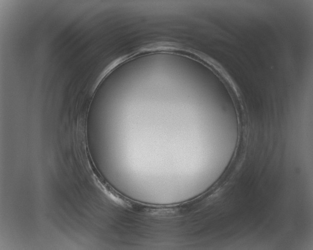 X0000081351337200701111056