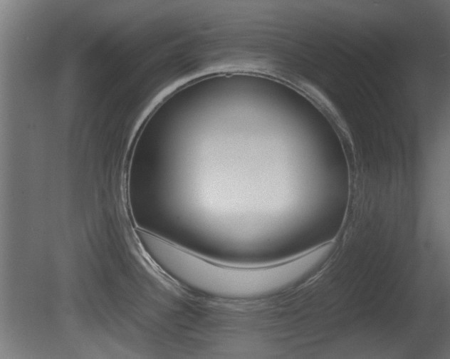 X0000081351340200701111056