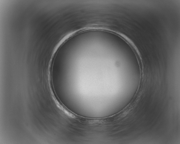 X0000081351341200701111056