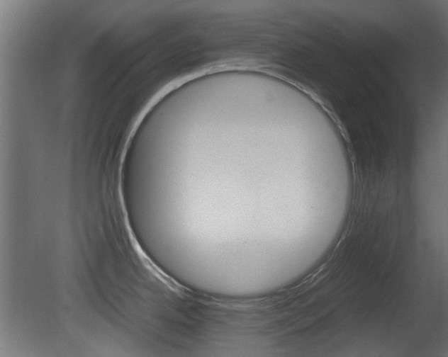X0000081351342200701111056