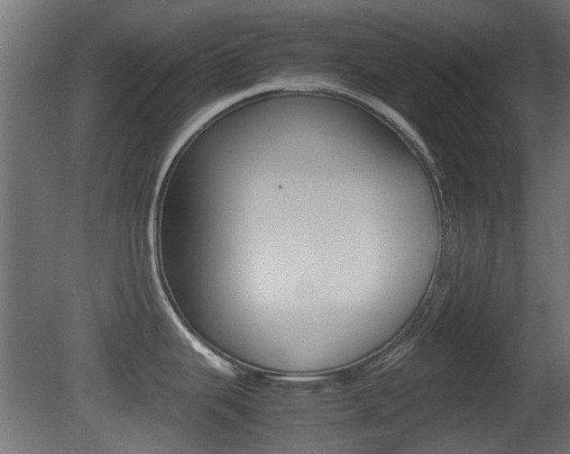X0000081351343200701111056