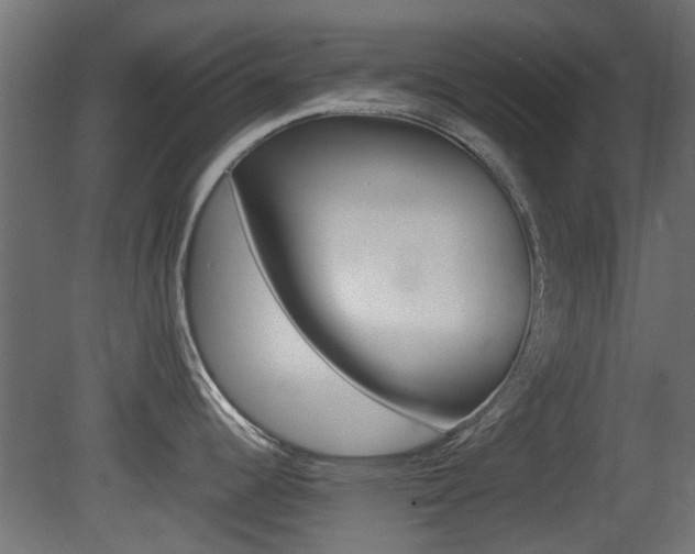 X0000081351344200701111056