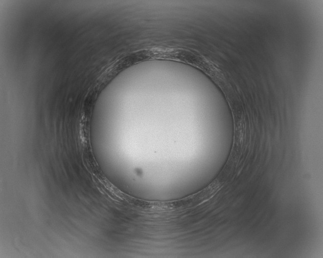 X0000081351346200701111055