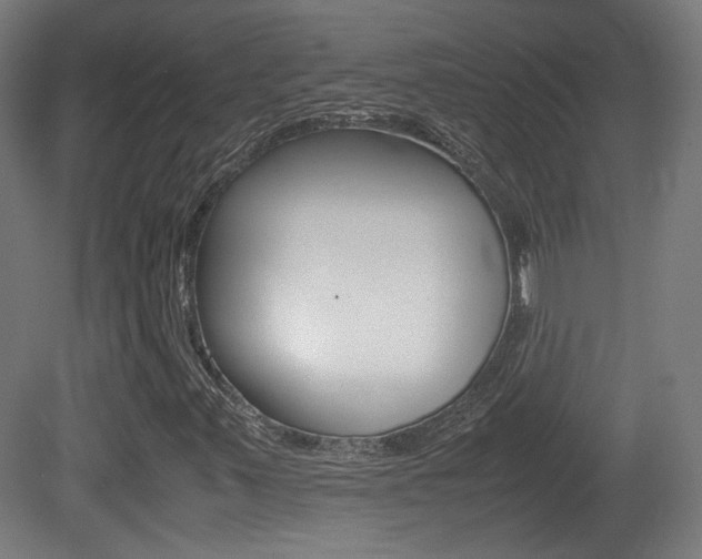 X0000081351347200701111055