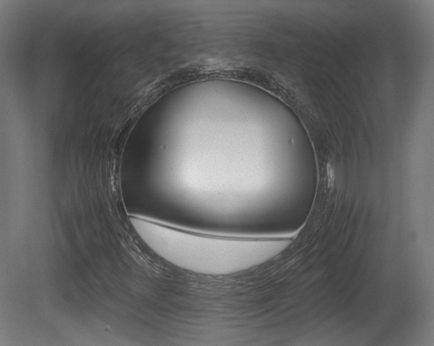 X0000081351348200701111055