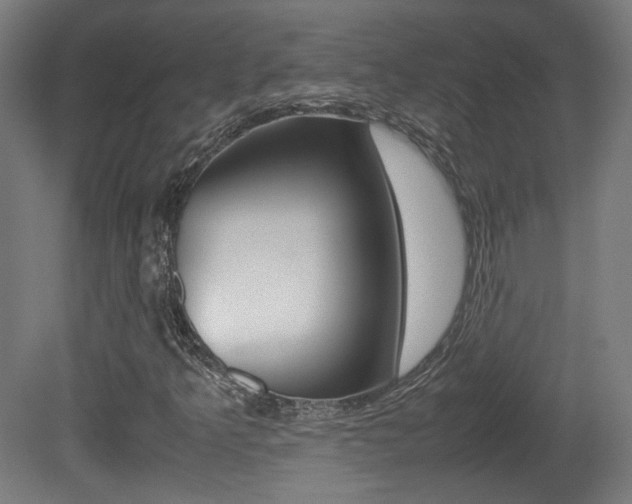 X0000081351349200701111055