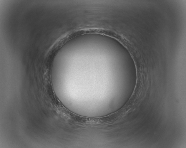 X0000081351351200701111055