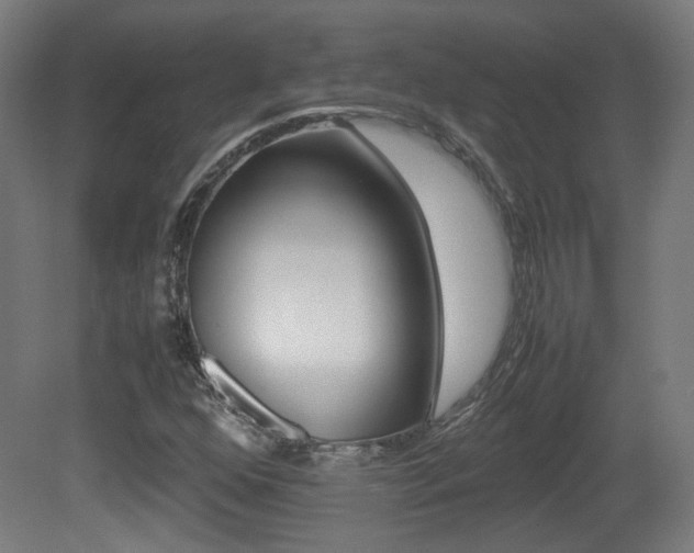 X0000081351352200701111055
