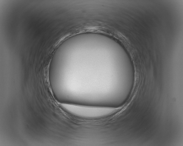X0000081351353200701111055