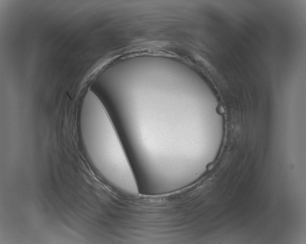 X0000081351354200701111055