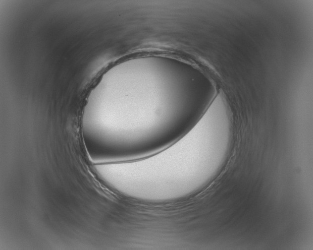 X0000081351355200701111055