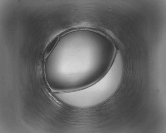 X0000081351356200701111055