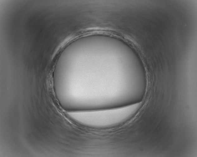 X0000081351357200701111055