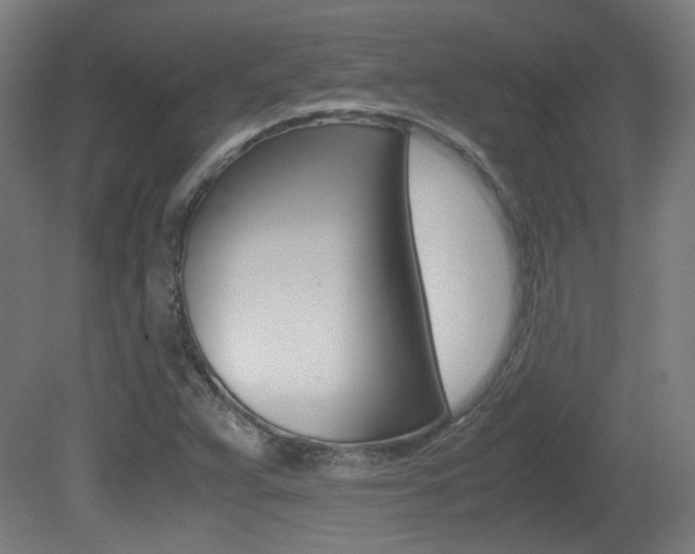 X0000081351359200701111055