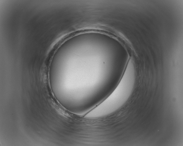 X0000081351360200701111055