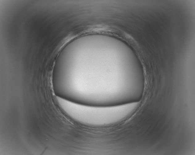 X0000081351361200701111055